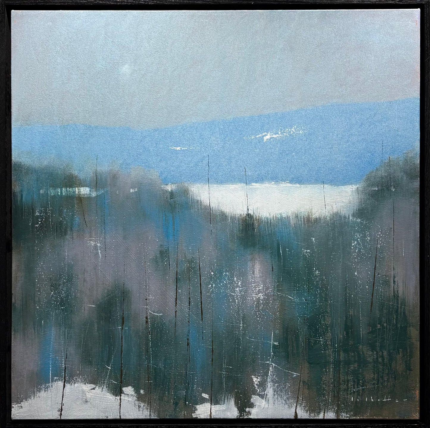 Pale Winter Sun