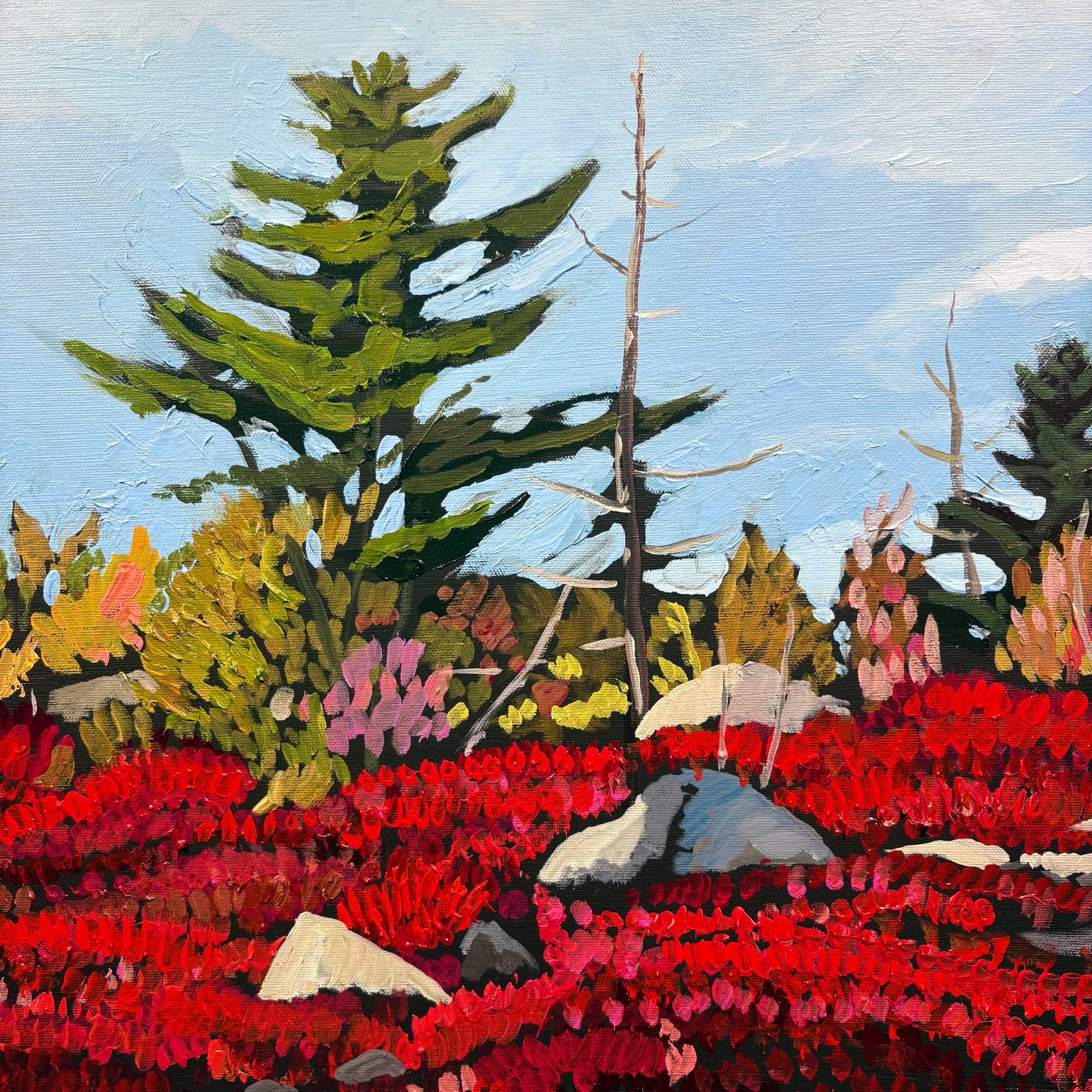 Secret Lake Far Shore