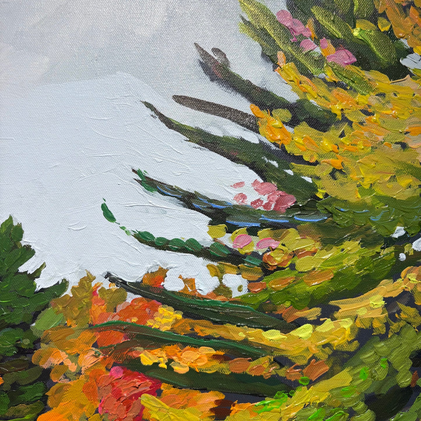 Little River Near Site 11, Keji