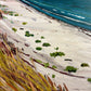 Cape Bay Beach