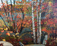Frog Pond, Fall