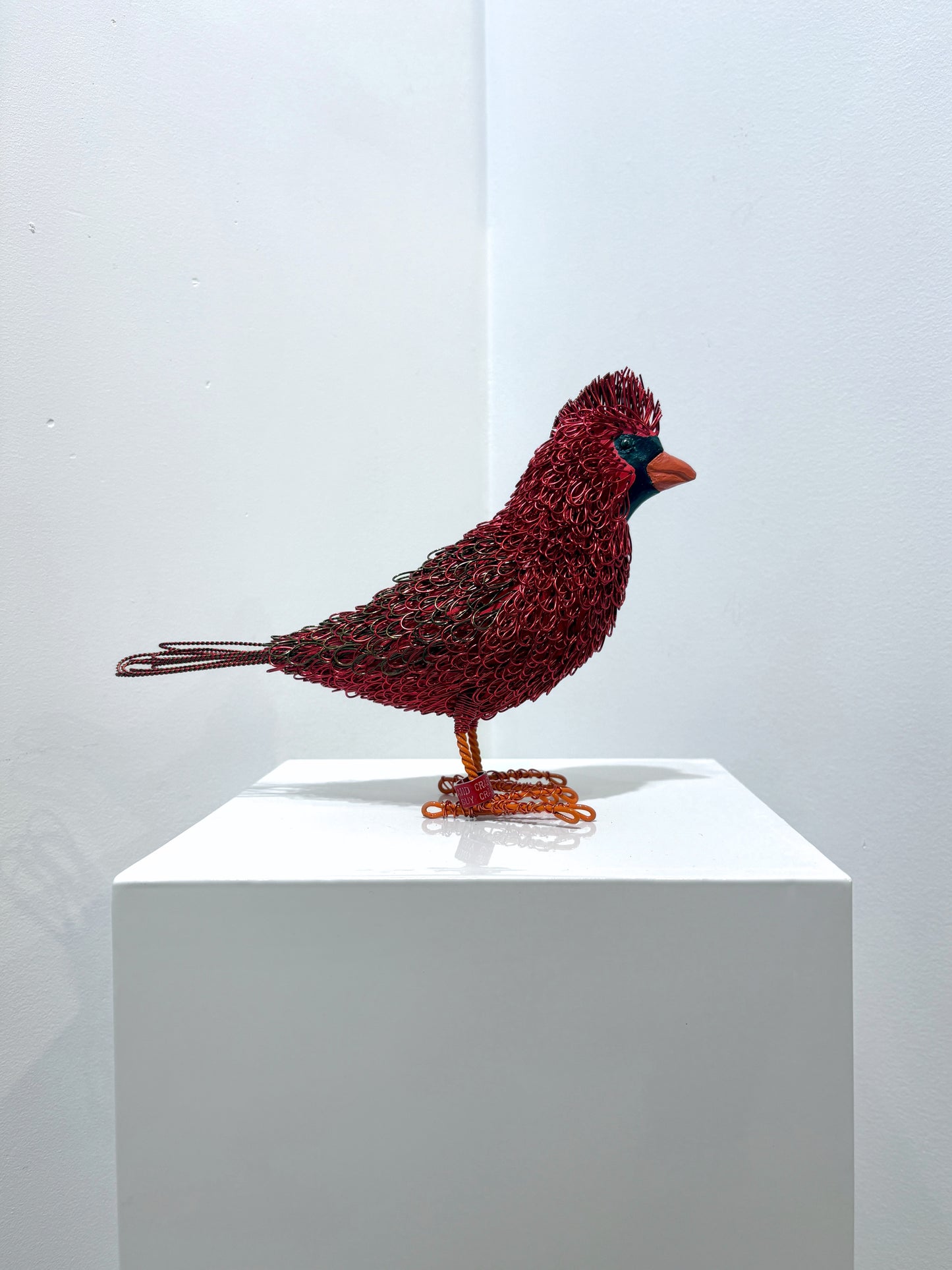 Boyd (Cardinal)
