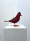 Boyd (Cardinal)