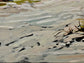 Island Beach, LaHave, NS