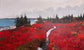 Herring Cove Lookoff Trail with Grey Clouds