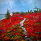 Autumn Trail