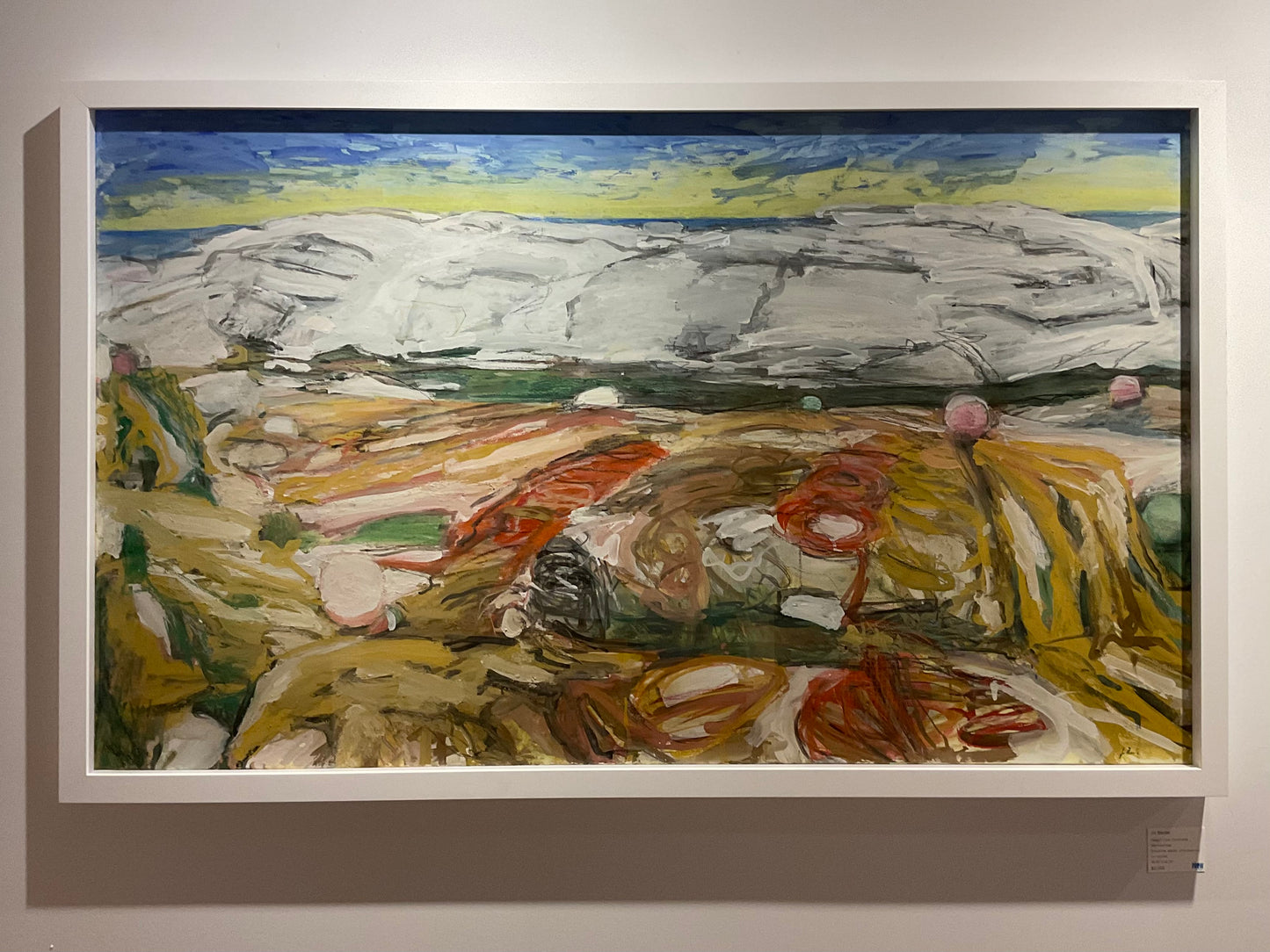 Peggy's Cove Community Mackerel Trap - Head Ropes, Nets and Buoys. Spread and Ordered on the White Rocks to Dry Off the Seaweed and the Fish Smell at the End of the Season