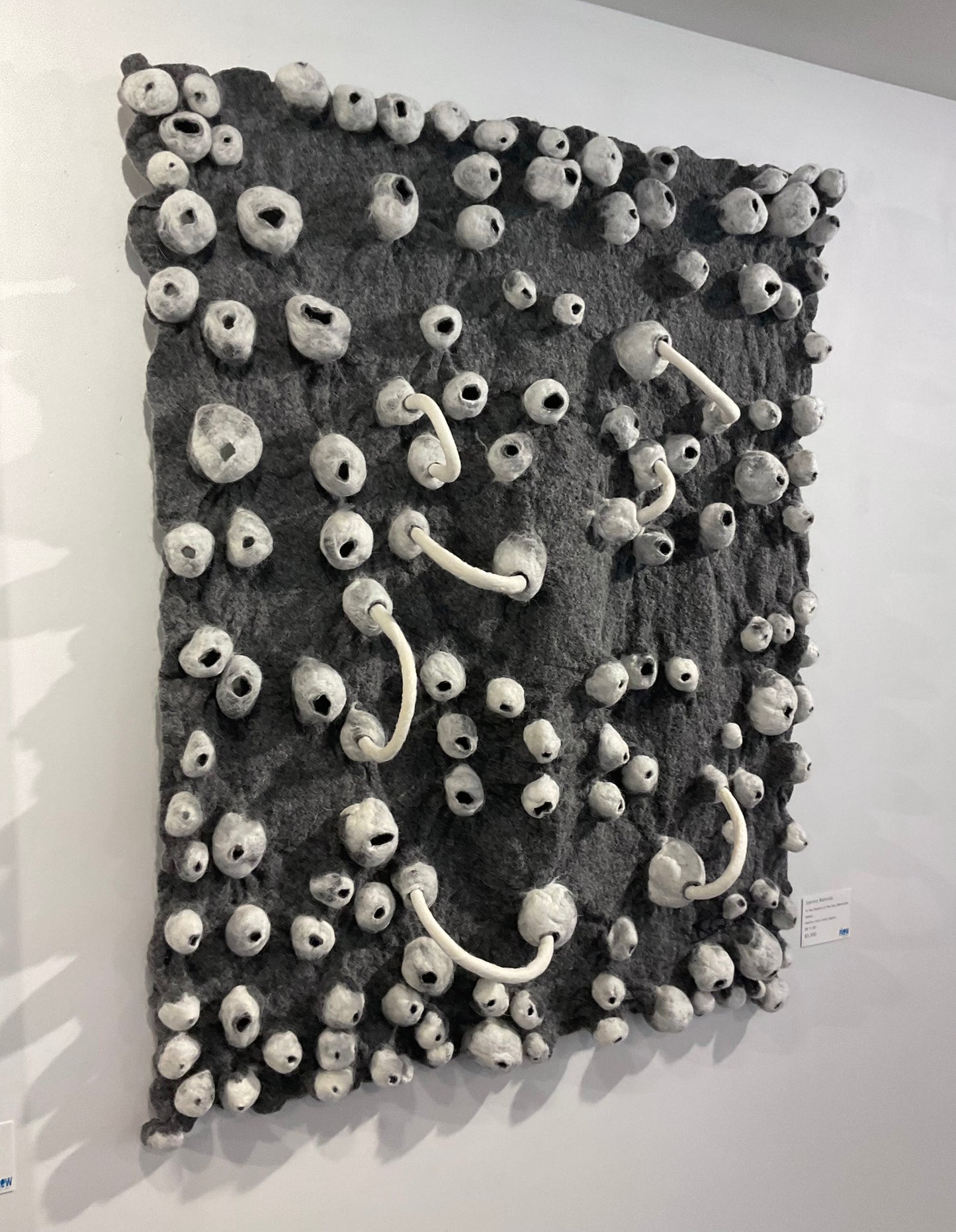 To the Rhythm of the Sea (Barnacle Series)