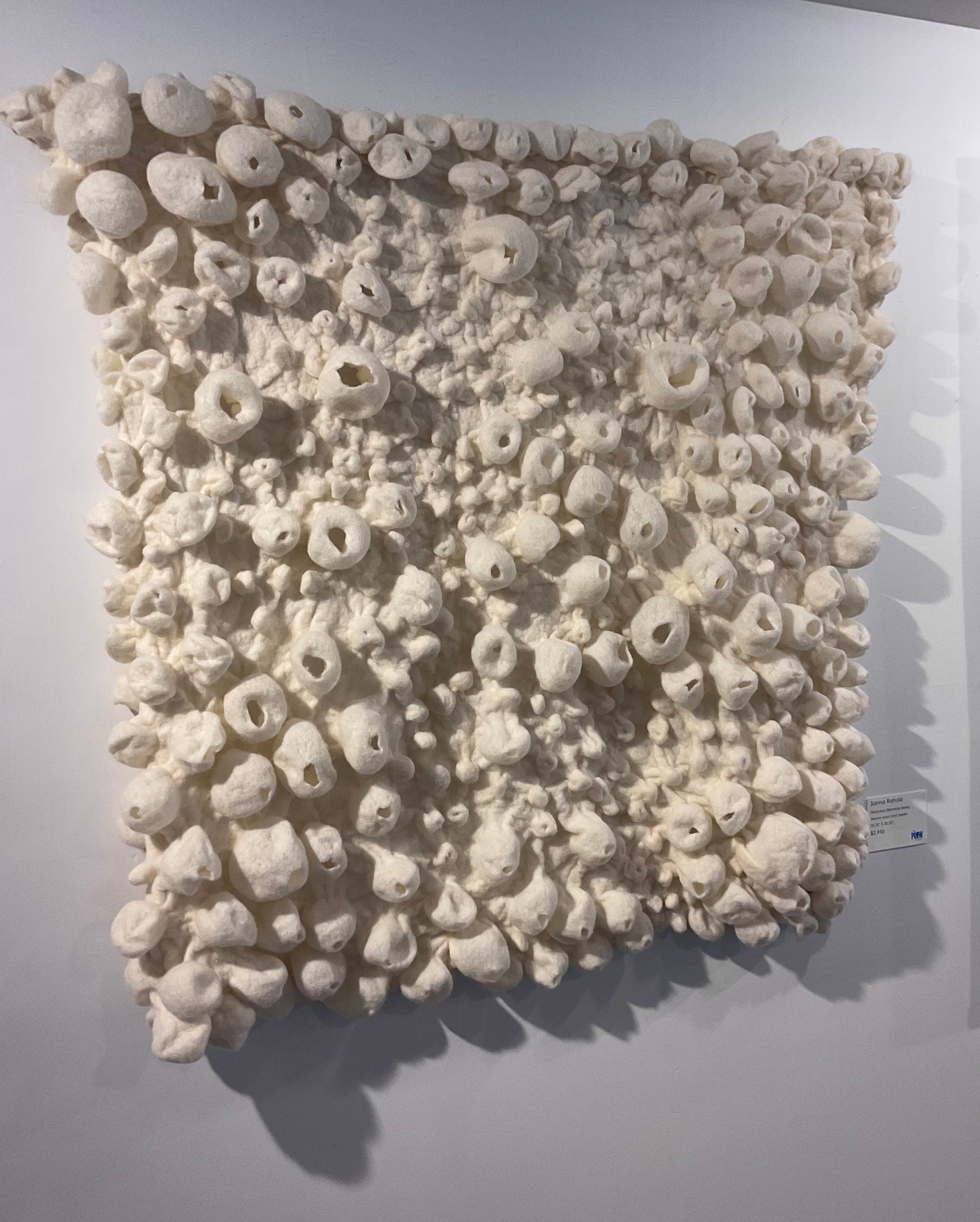 Tenacious (Barnacles Series)