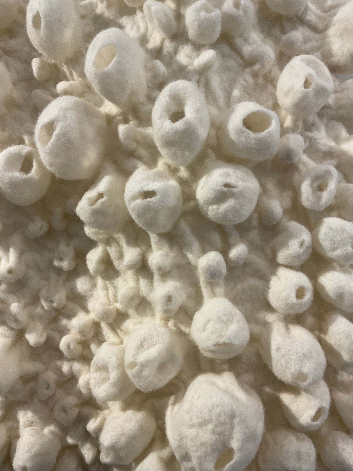 Tenacious (Barnacles Series)