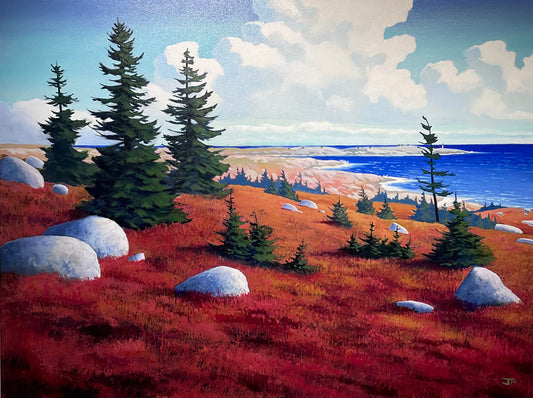 The Erratics (near Peggy's Cove)