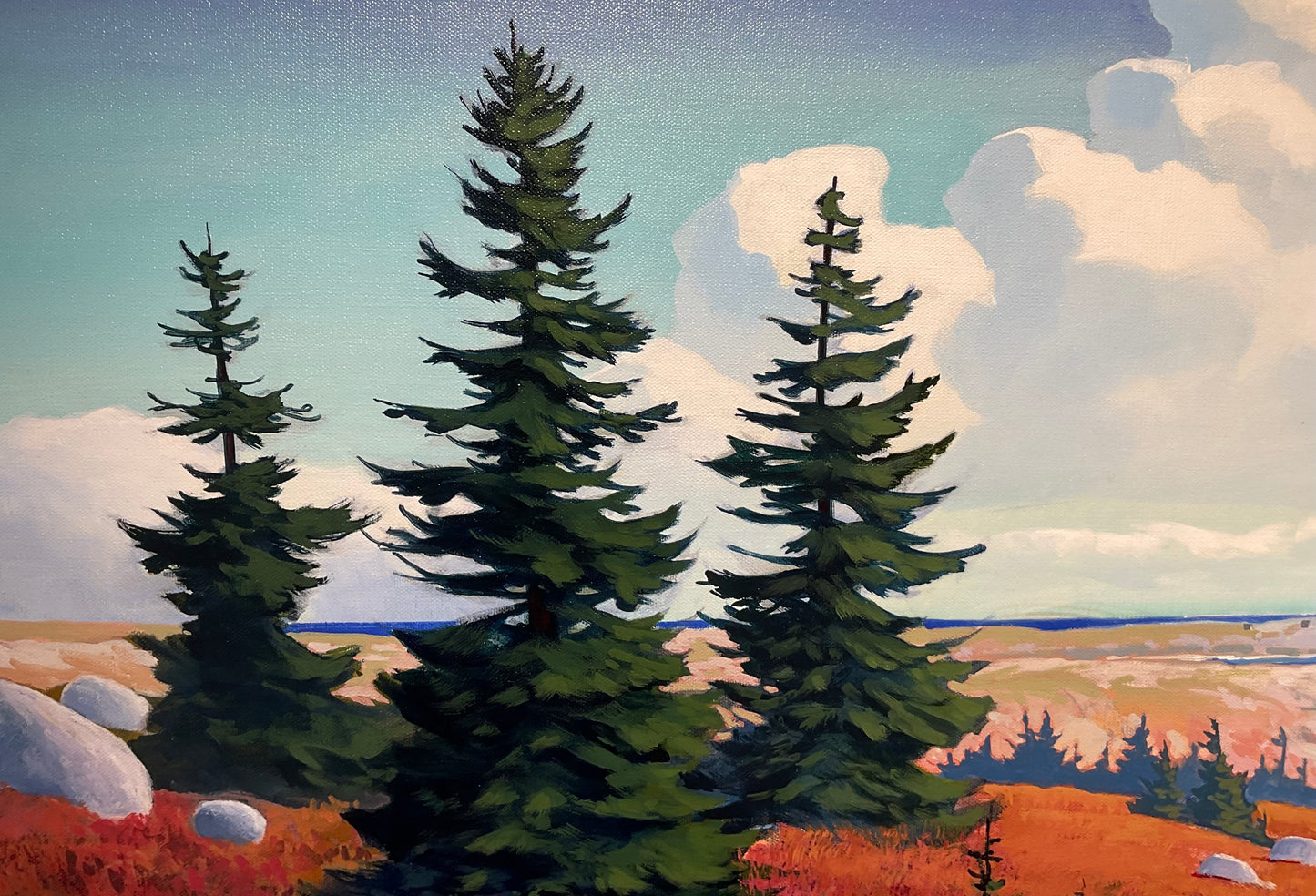 The Erratics (near Peggy's Cove)