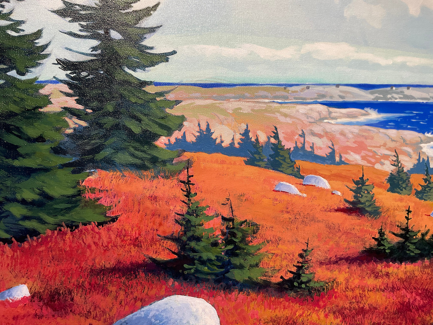 The Erratics (near Peggy's Cove)