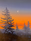 Waning Crescent Near Baie Verte