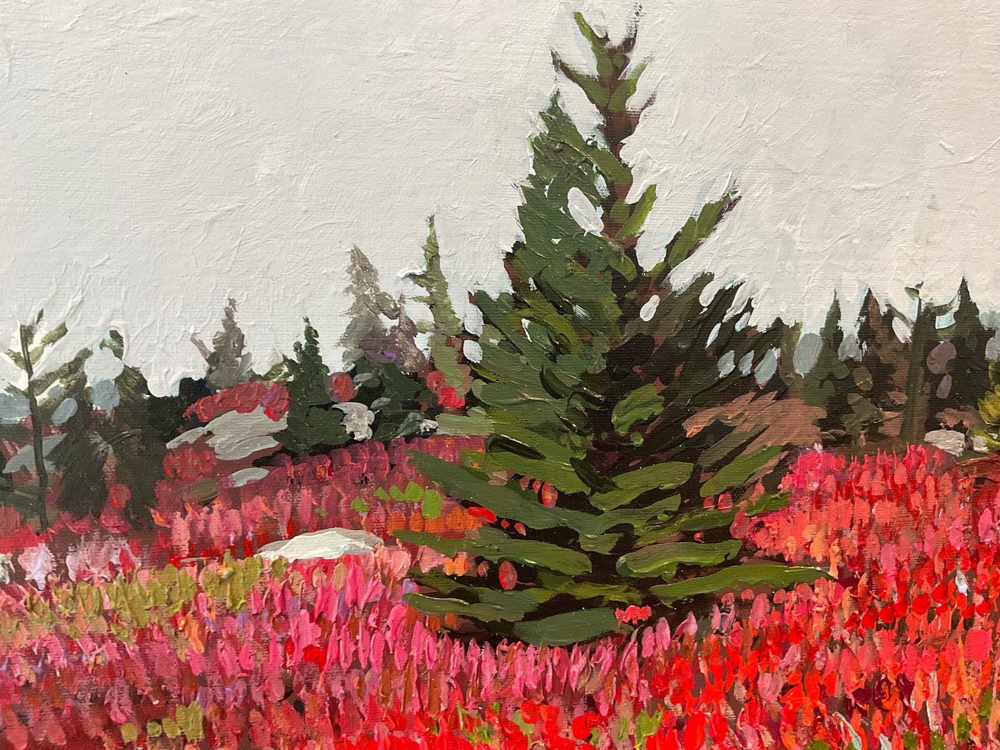 The Barrens