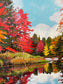 The Little River, Keji