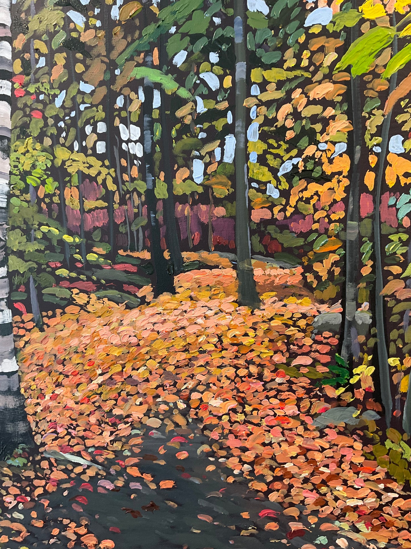 Fall Trail at Frog Pond