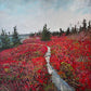 The Barrens