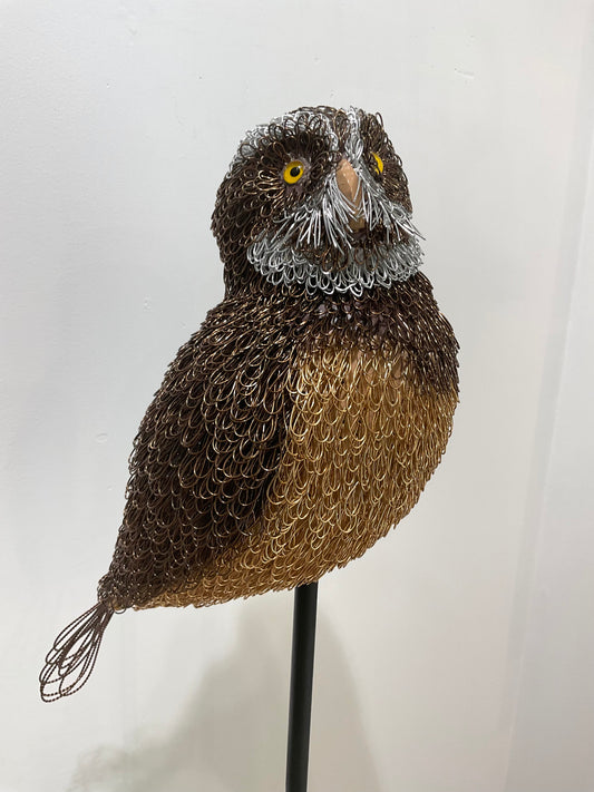 Jeepers Peepers