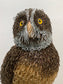 Jeepers Peepers