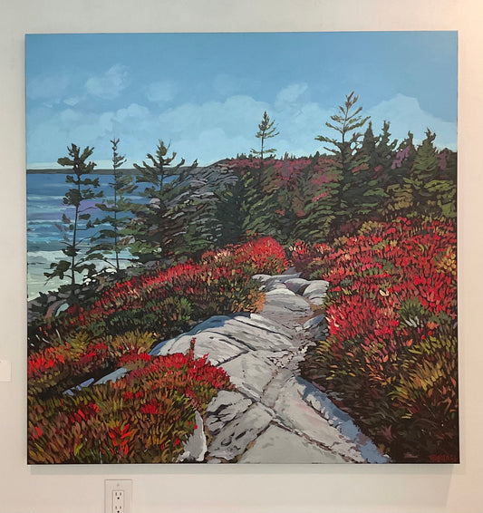 Near Little Cove at the Look Off