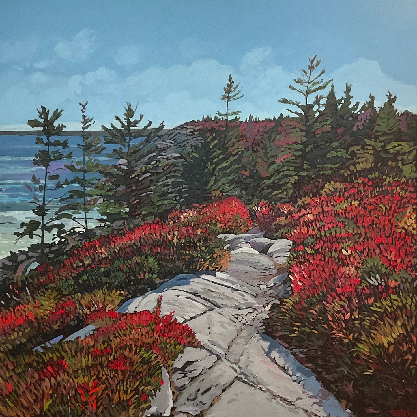Near Little Cove at the Look Off