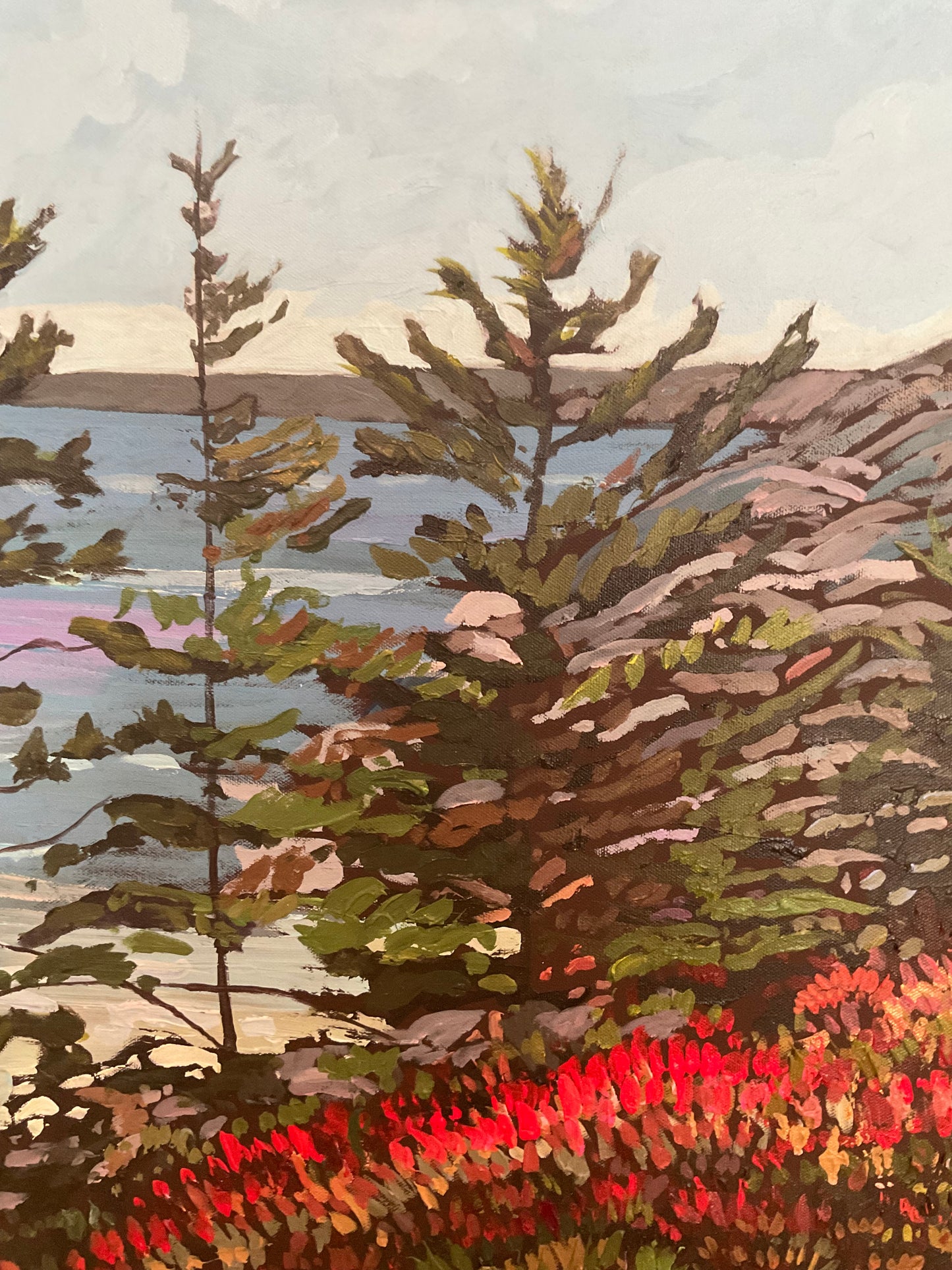 Near Little Cove at the Look Off