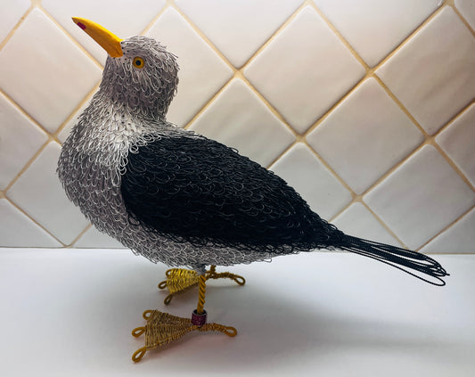 Georgie (Great Black Backed Gull)