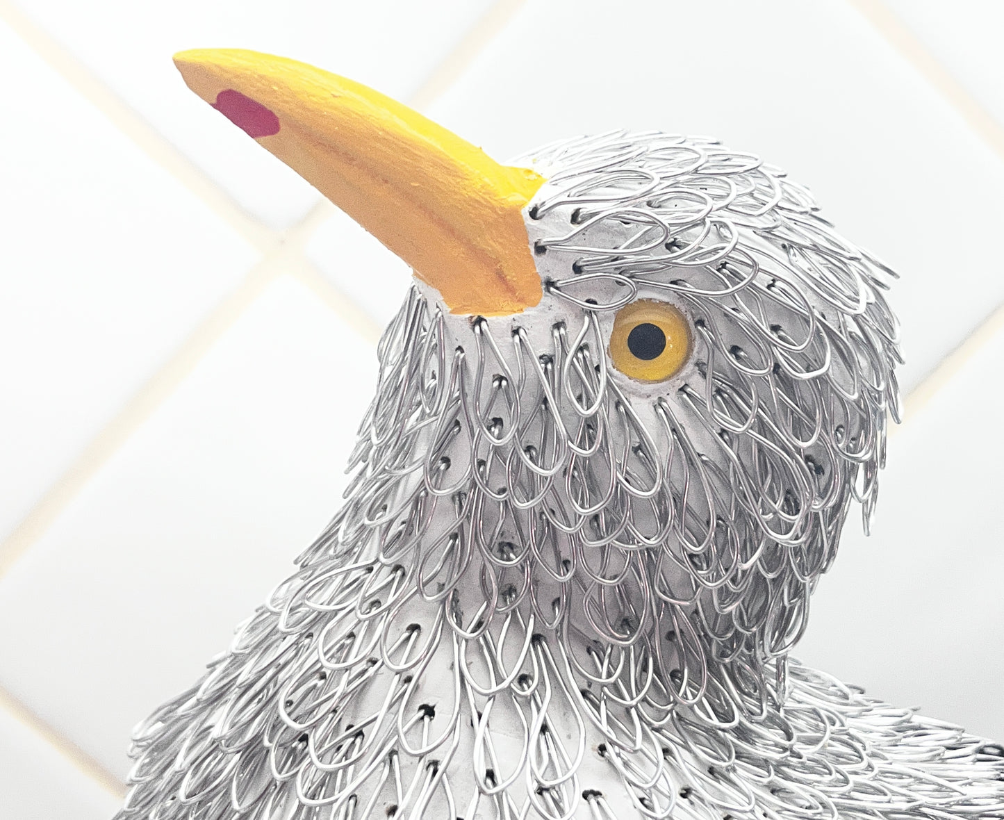 Georgie (Great Black Backed Gull)