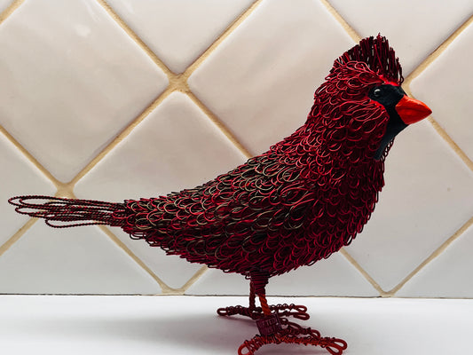 Boda (Cardinal)