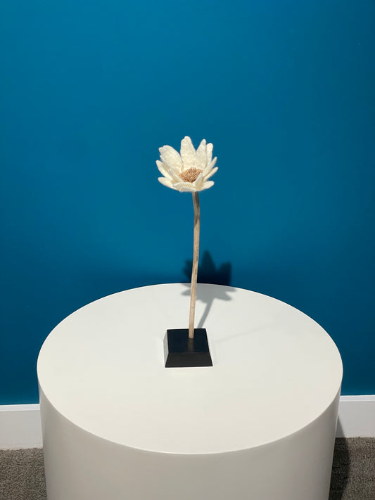 KUKKA #10 (SINGLE STEM)