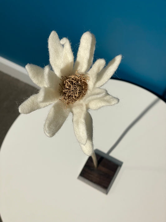 KUKKA #16 (SINGLE STEM)