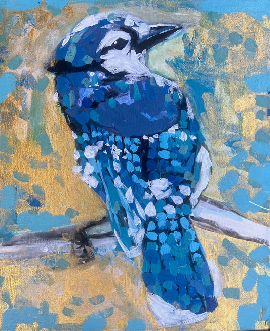 Bluejay Daydreamer