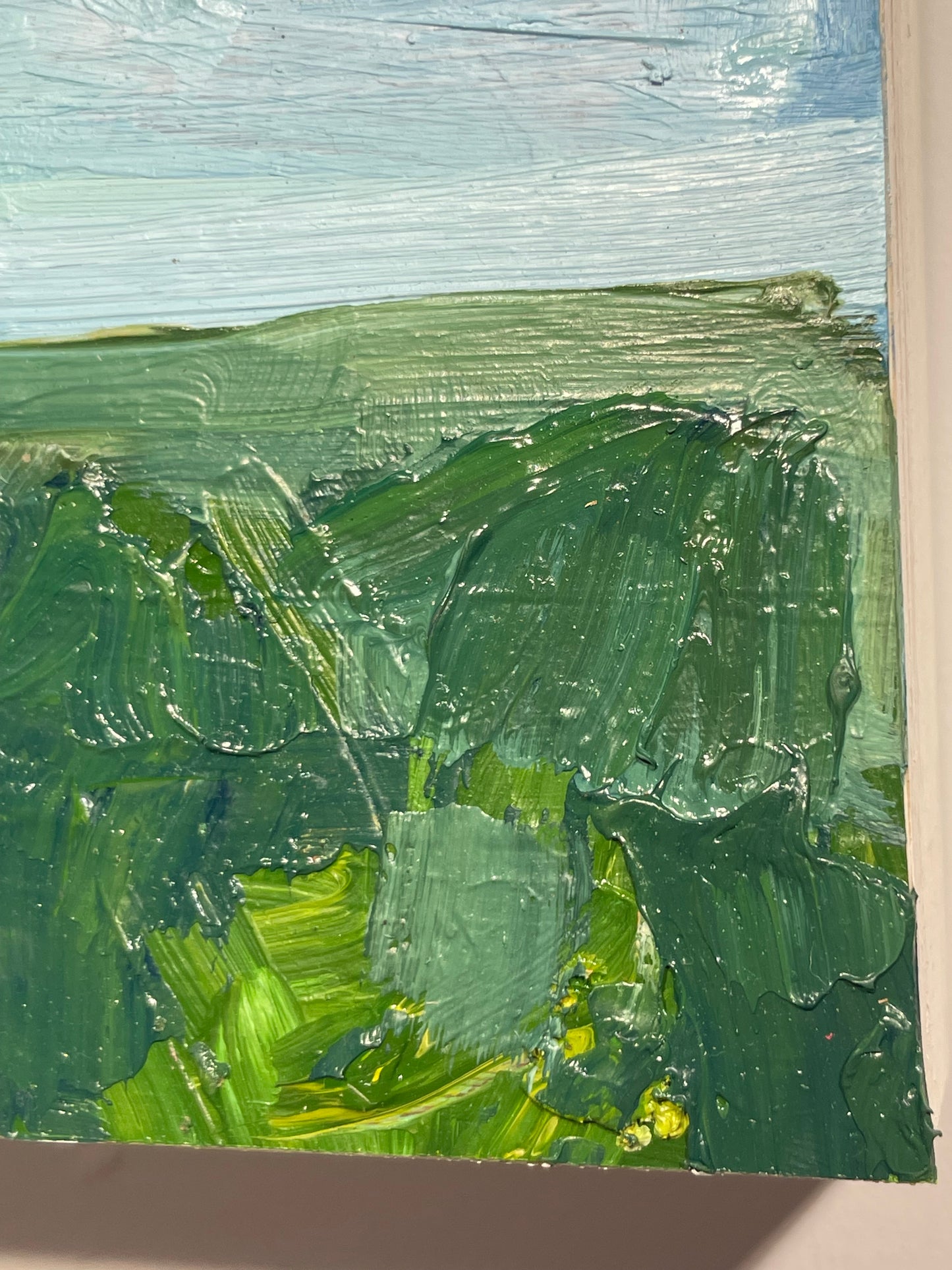 Summer Fields
