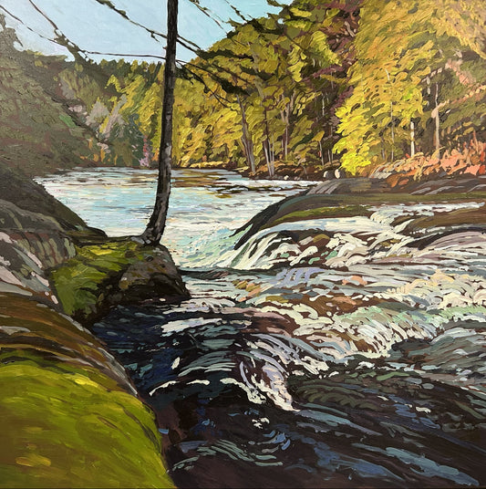 Mill Falls