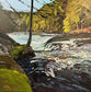 Mill Falls