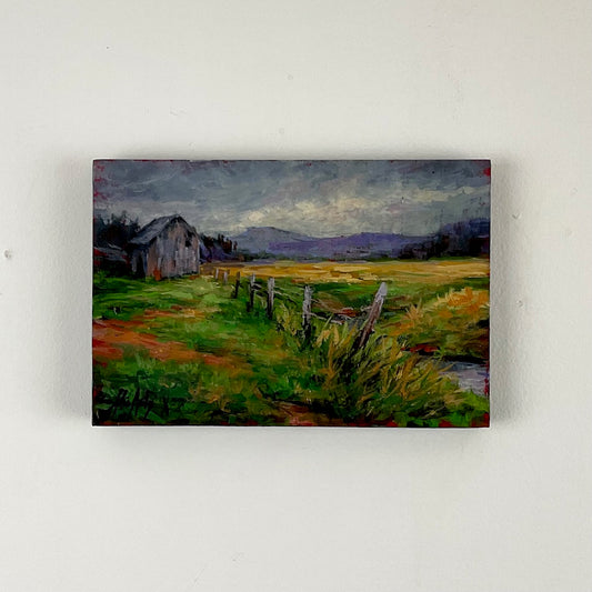 Pasture on Memracook