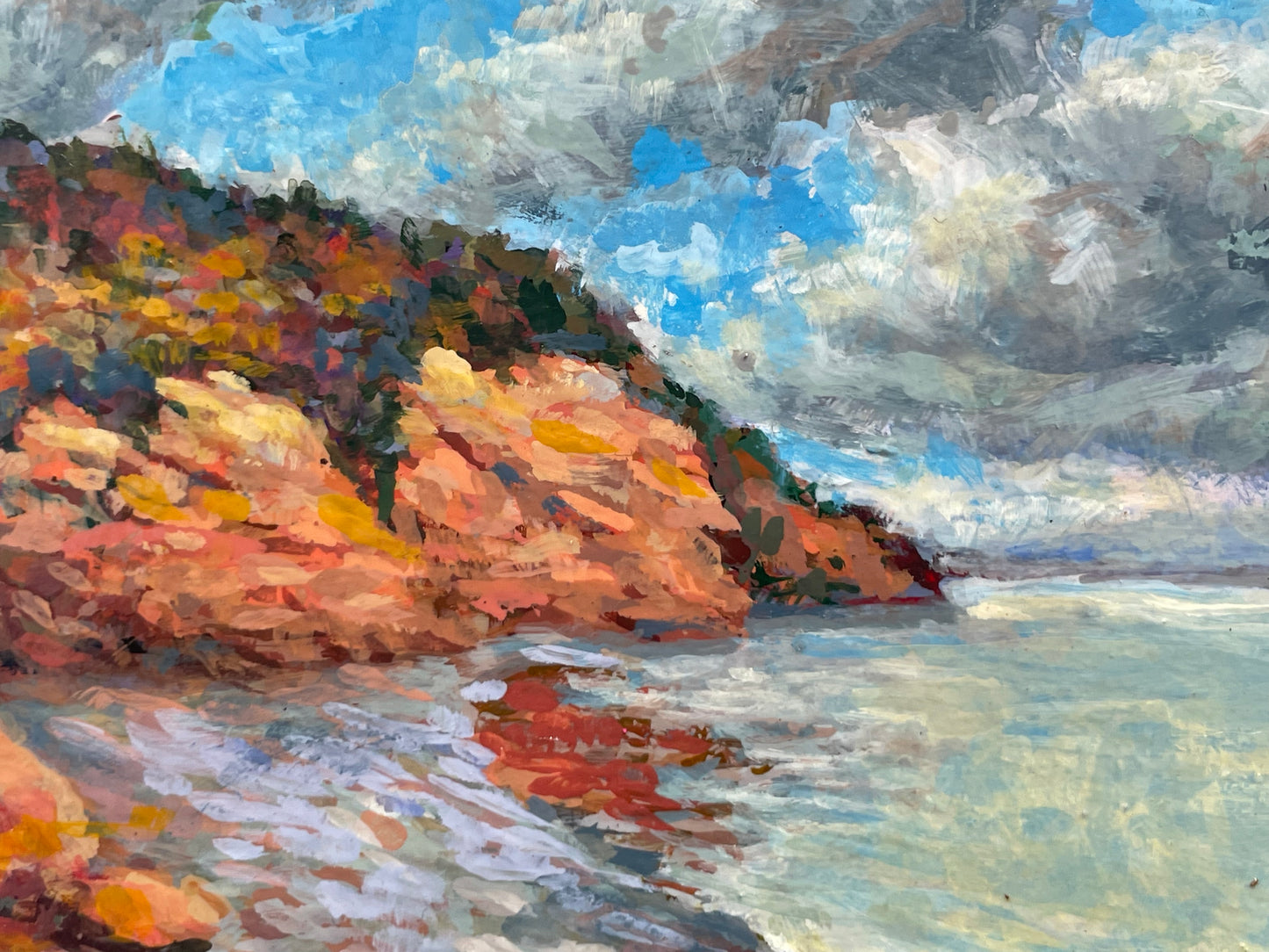 Beach on Blomidon Point