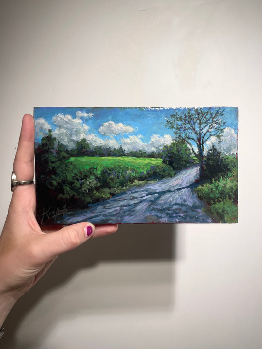 Back Road, Newport Corner