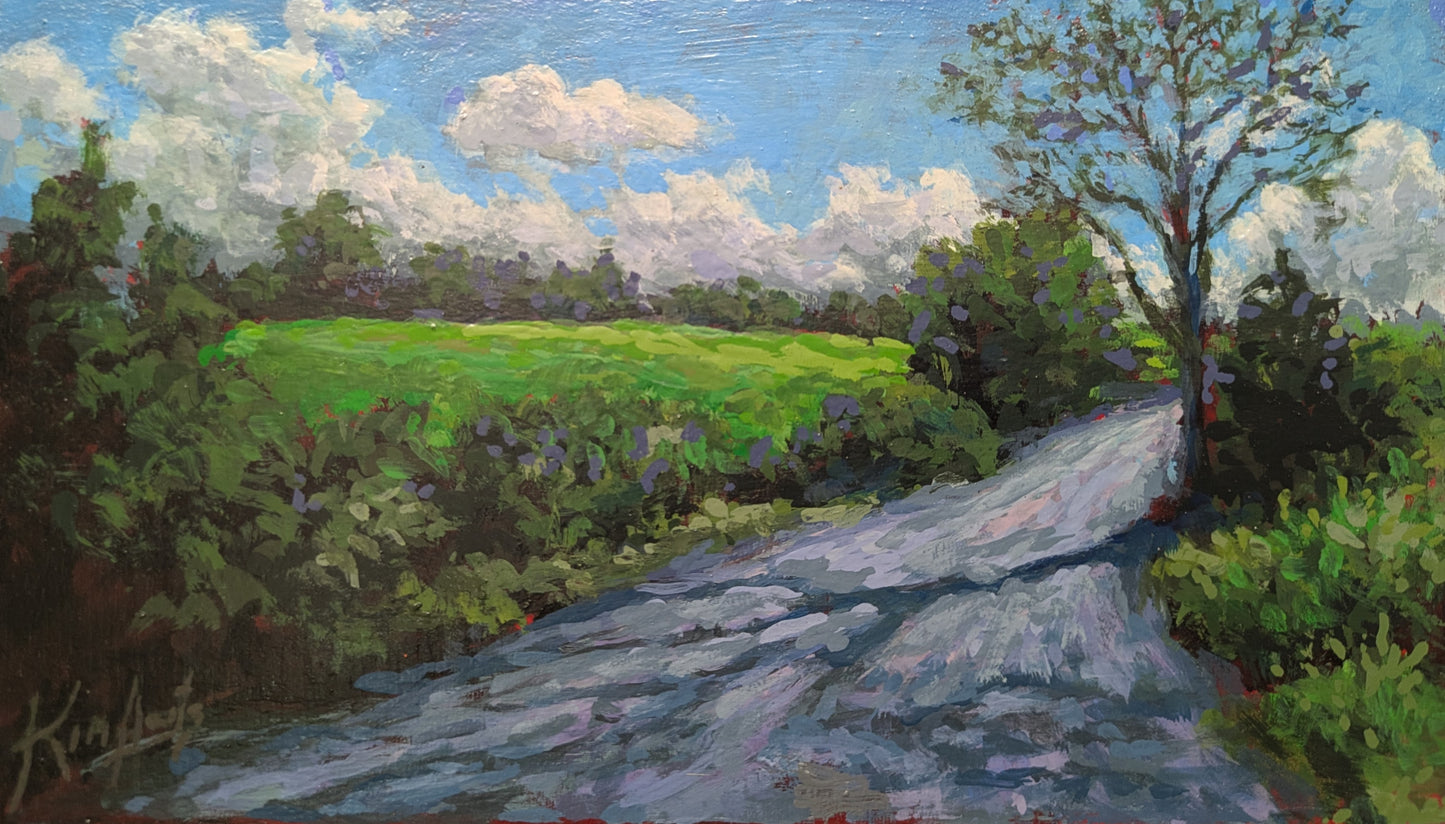 Back Road, Newport Corner