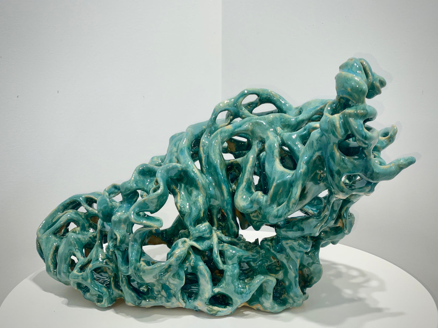 Ocean Coral