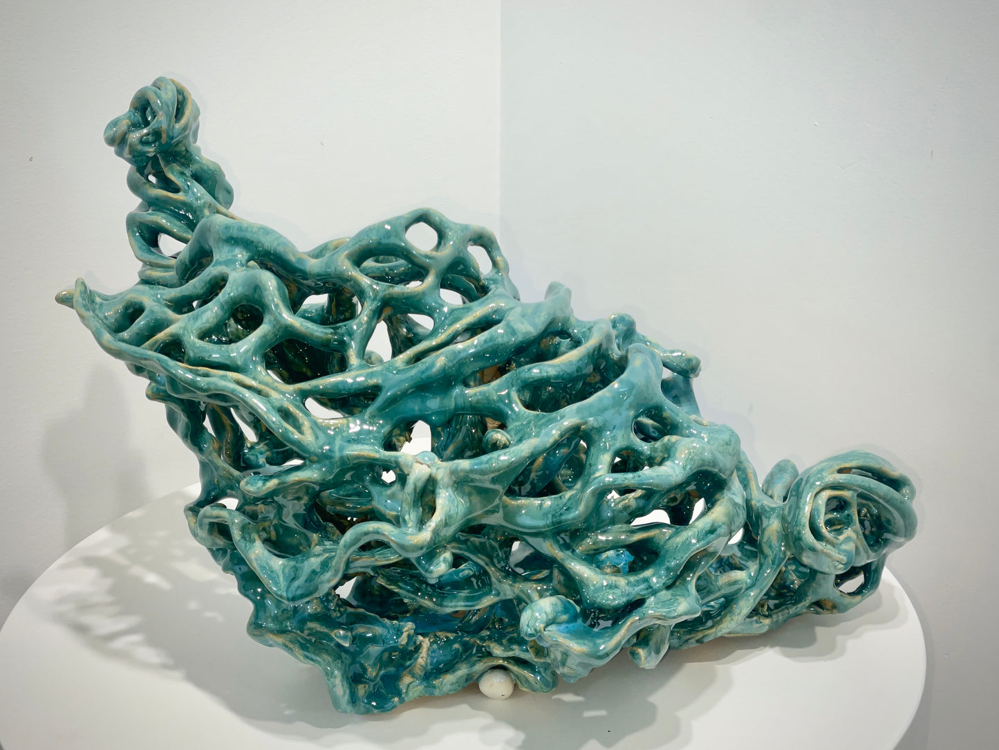 Ocean Coral