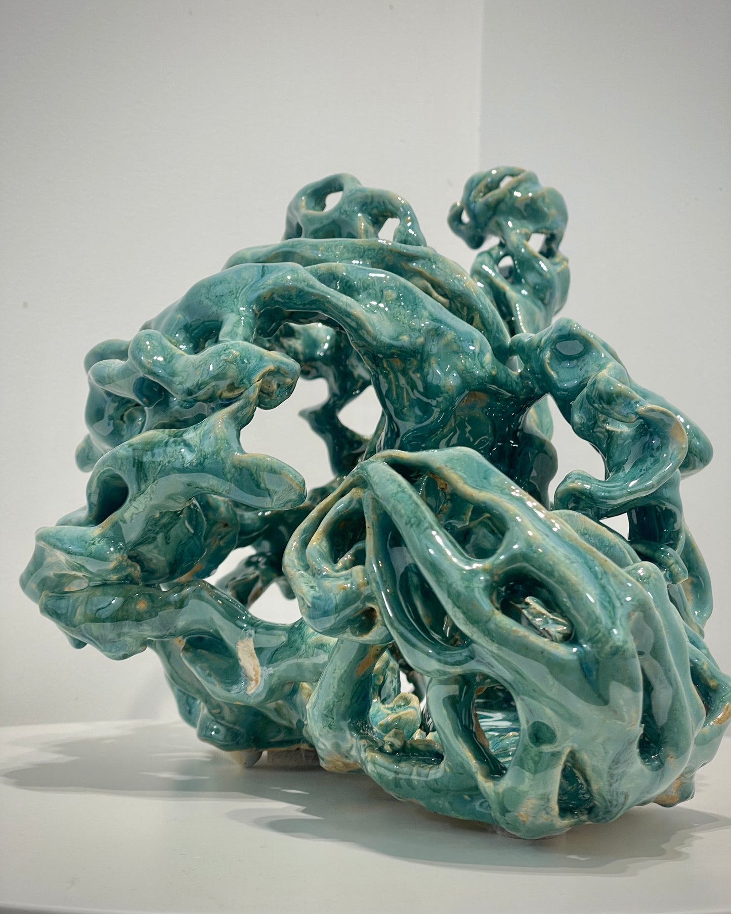 Ocean Coral