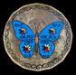 The Spirit of the Butterfly (Mimikej) Drum