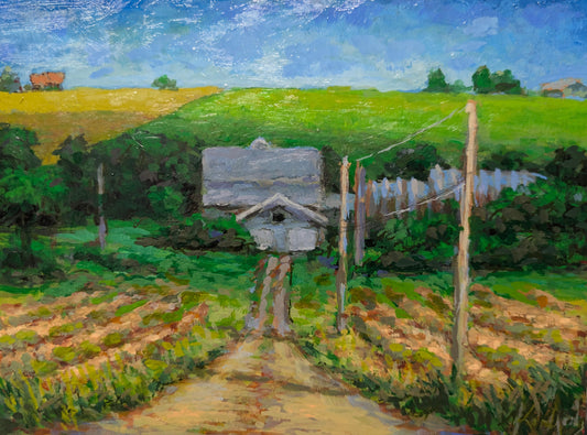 Shadows Over the Farm