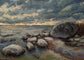 Back Cove Boulders