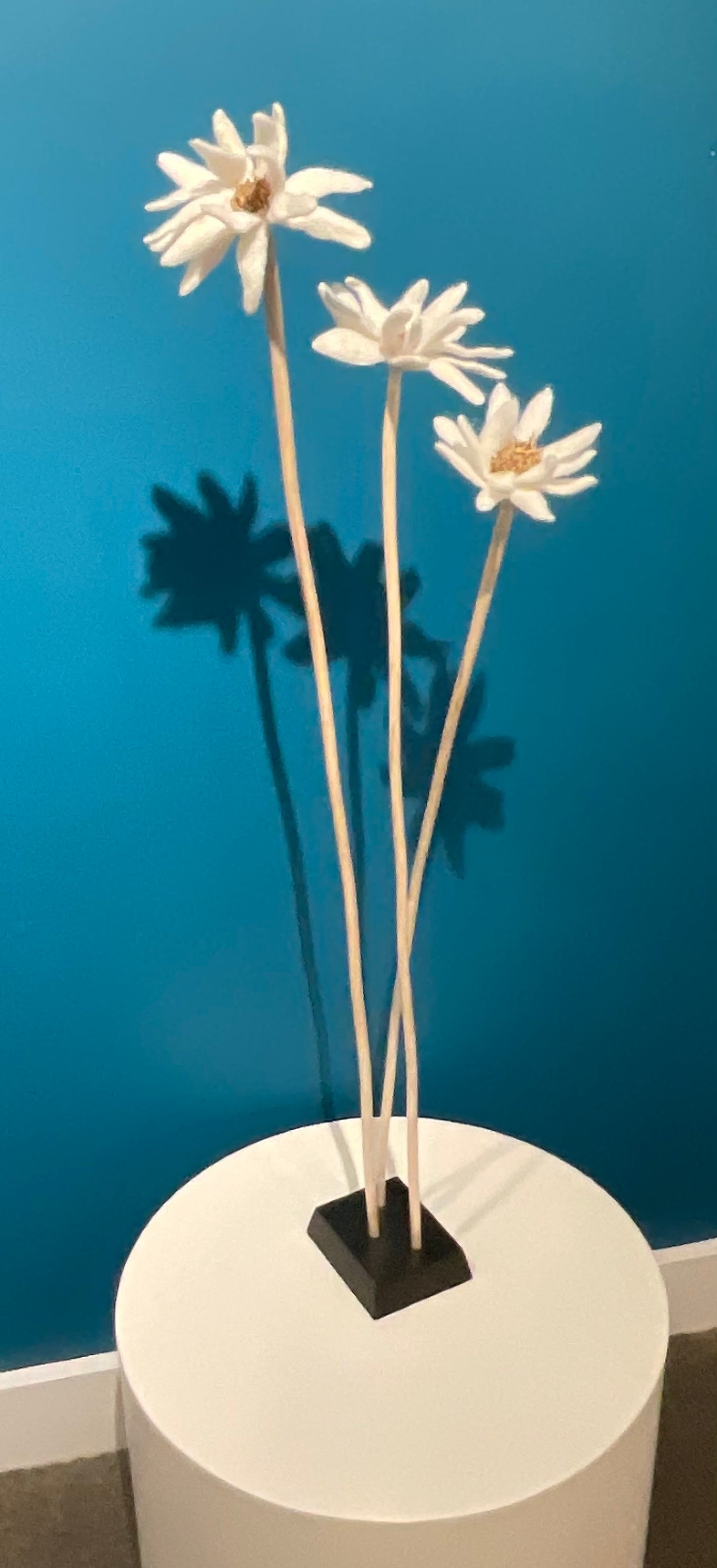 KUKKA #28 (TRIPLE STEM)