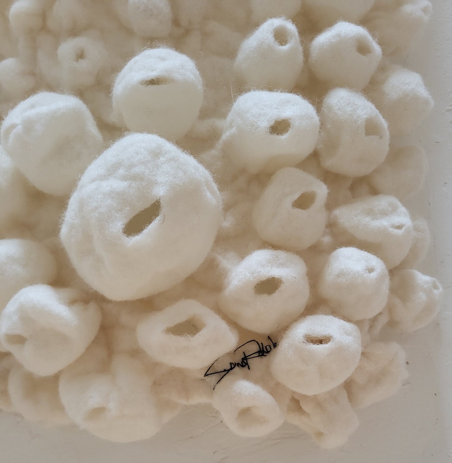 Tenacious (Barnacles Series)