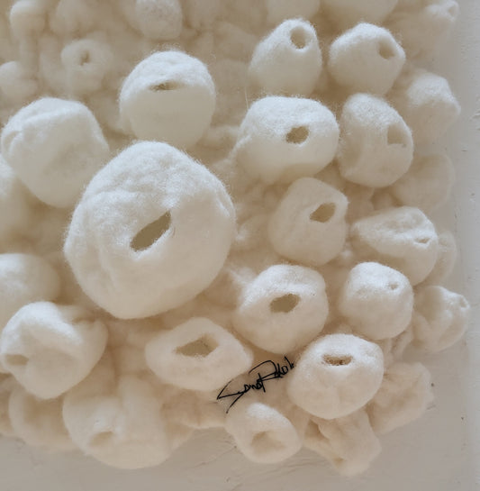 Tenacious (Barnacles Series)