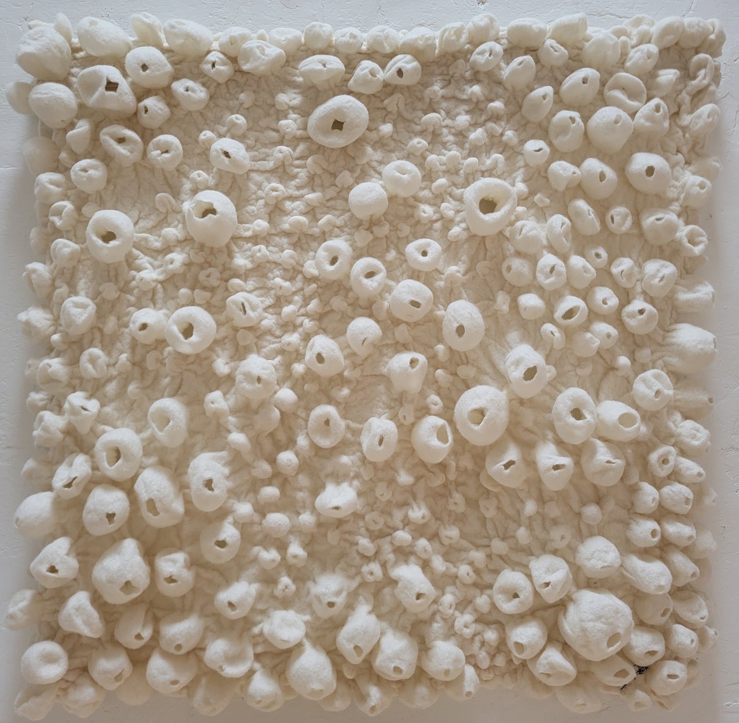 Tenacious (Barnacles Series)